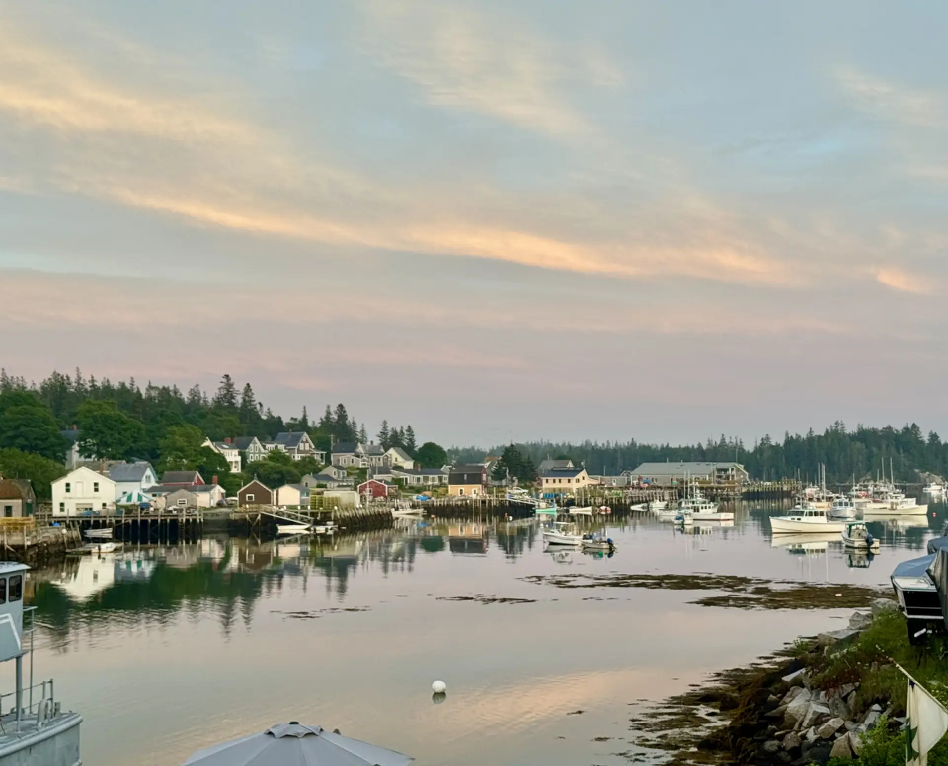 Amazing Harbor Views