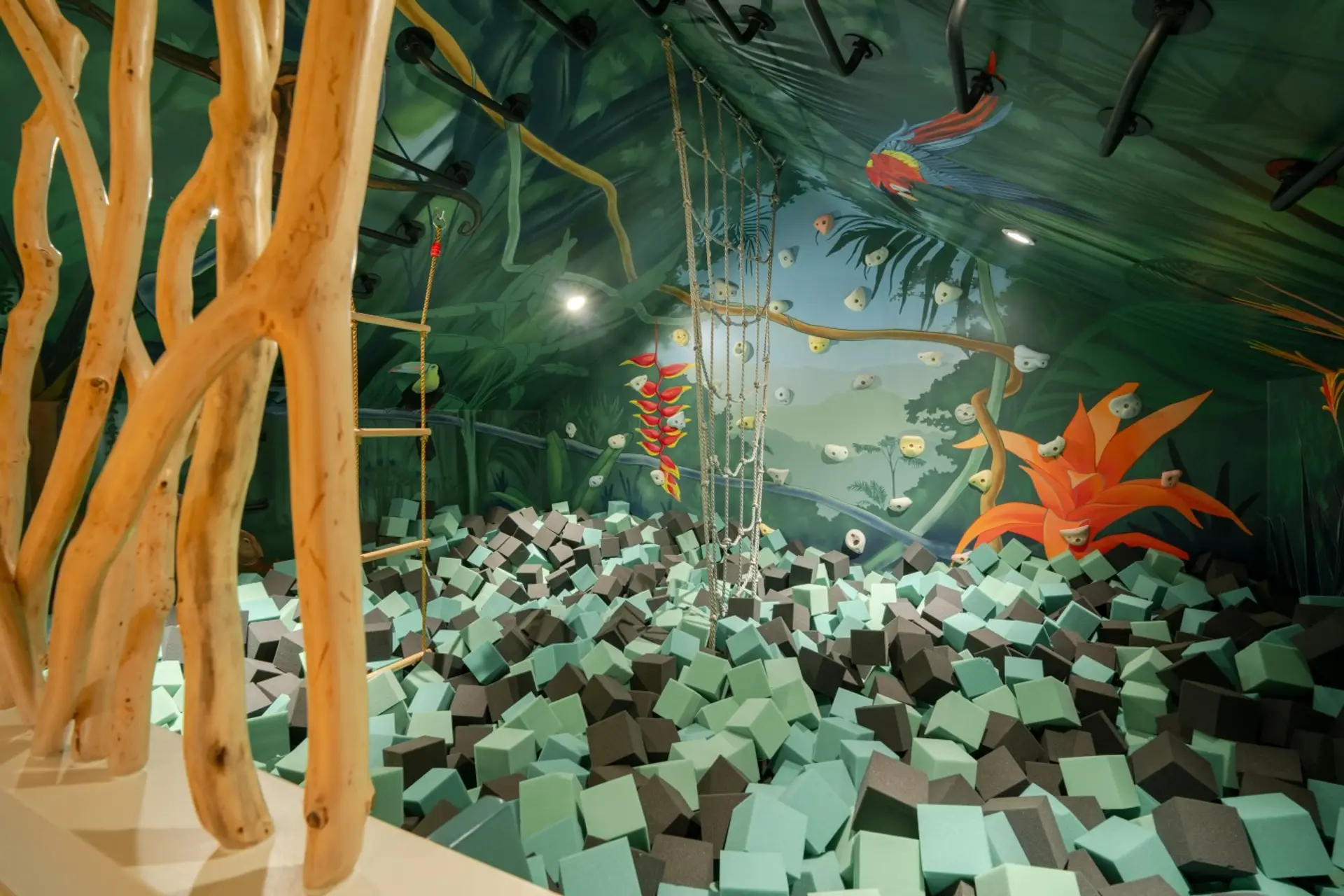 Jungle foam pit - Kids paradise for hours