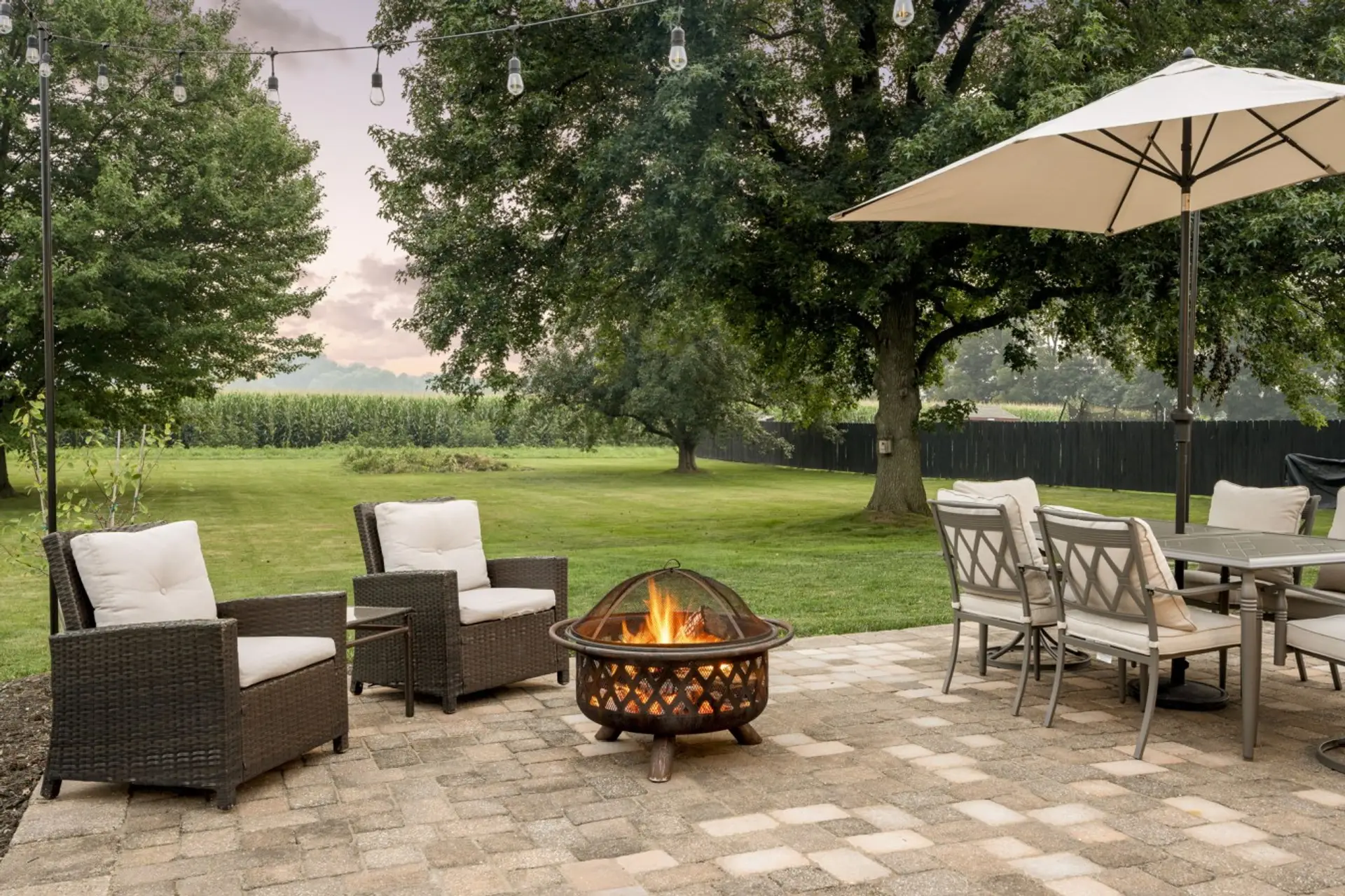 Patio/ Back Yard