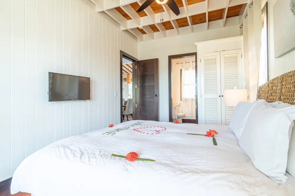 Athena's House, Mahogany Bay Village, photo 3