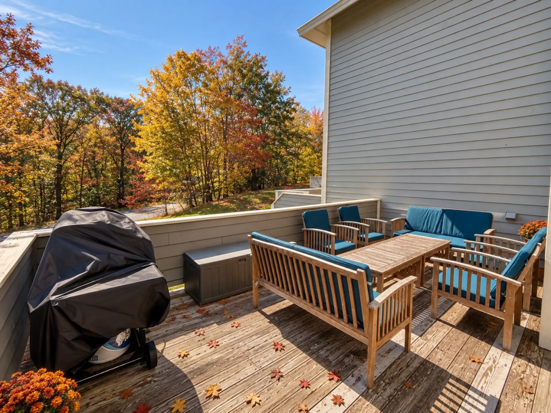 Front-row seats to fall in the Laurel Highlands