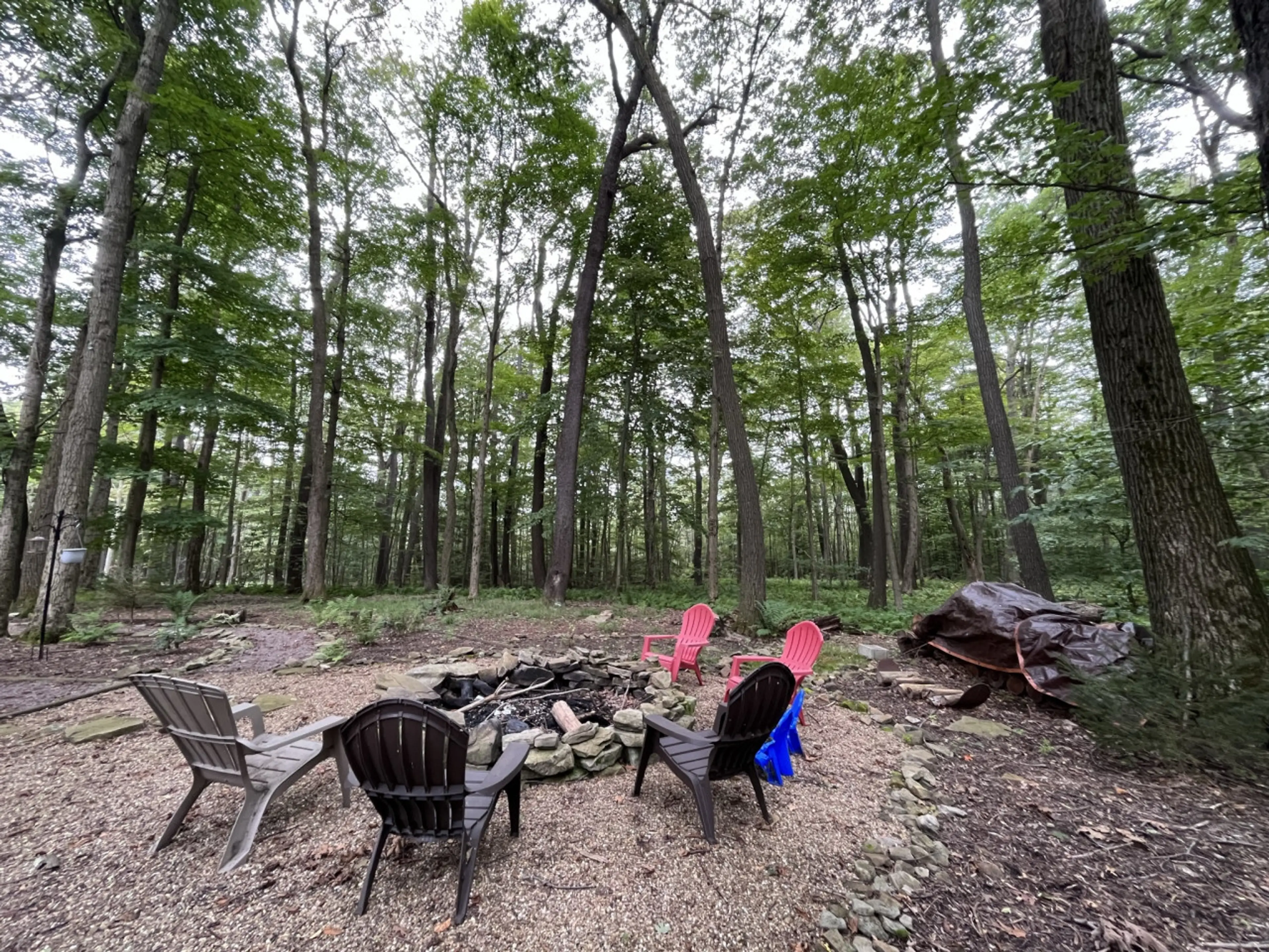 Spring mornings are better around the firepit — fresh mountain air, sunshine through the trees, and nowhere else to be