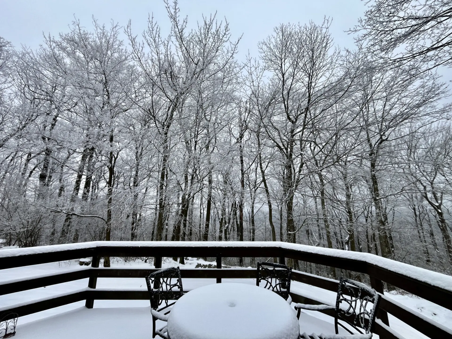 Winterscape from back deck