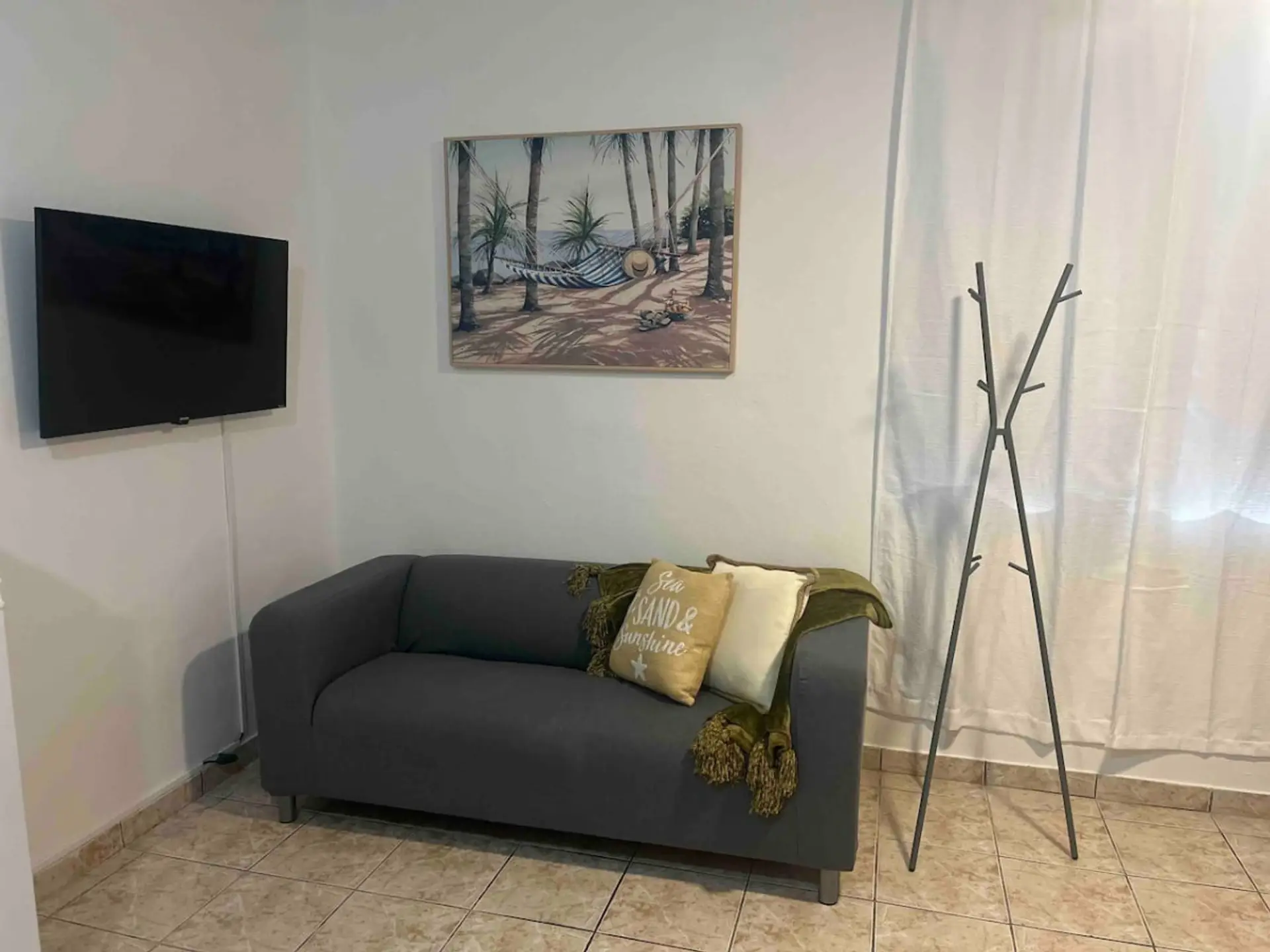 Sofa and television