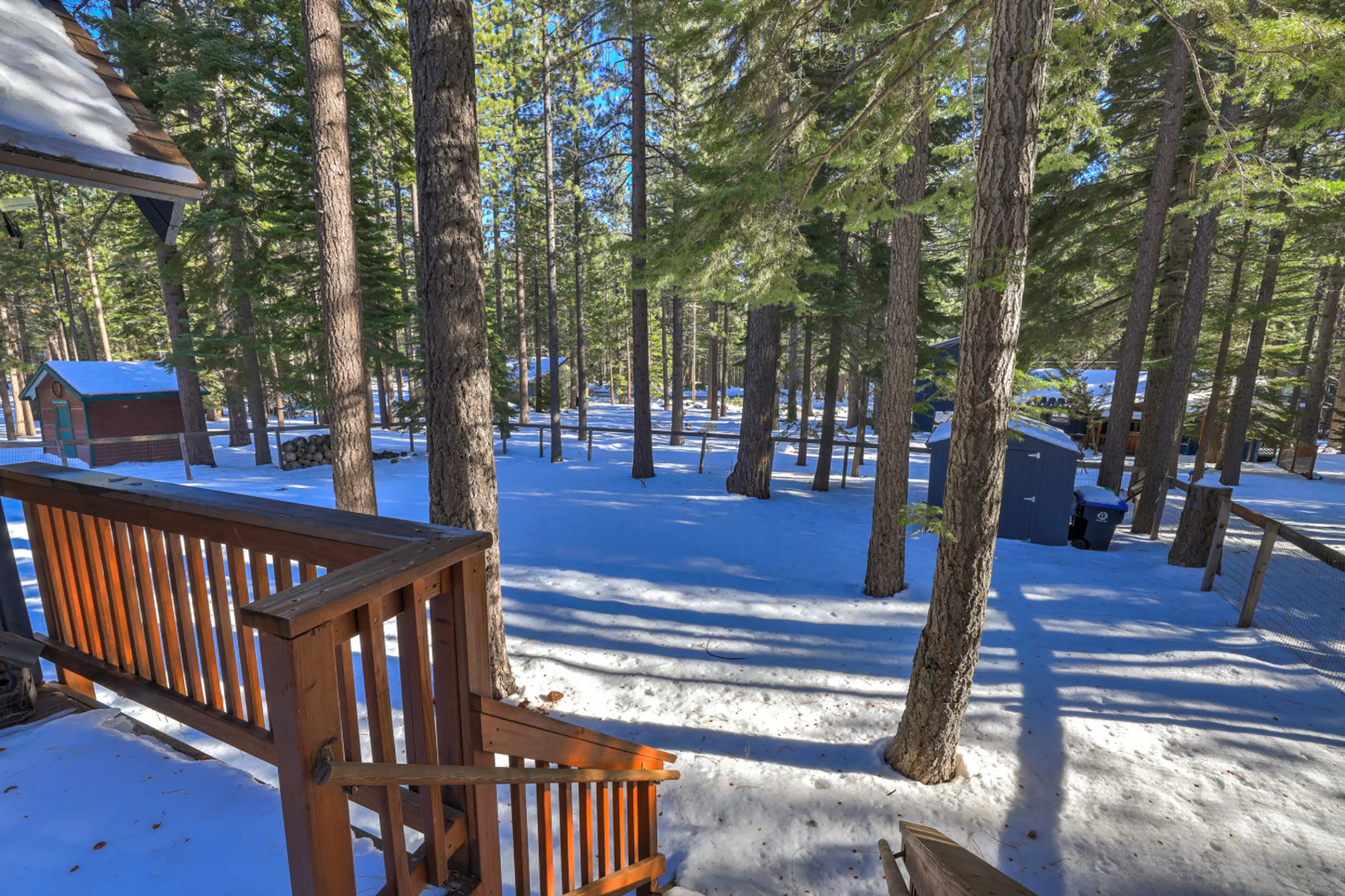 Backyard in Winter - lots of room for snow play!