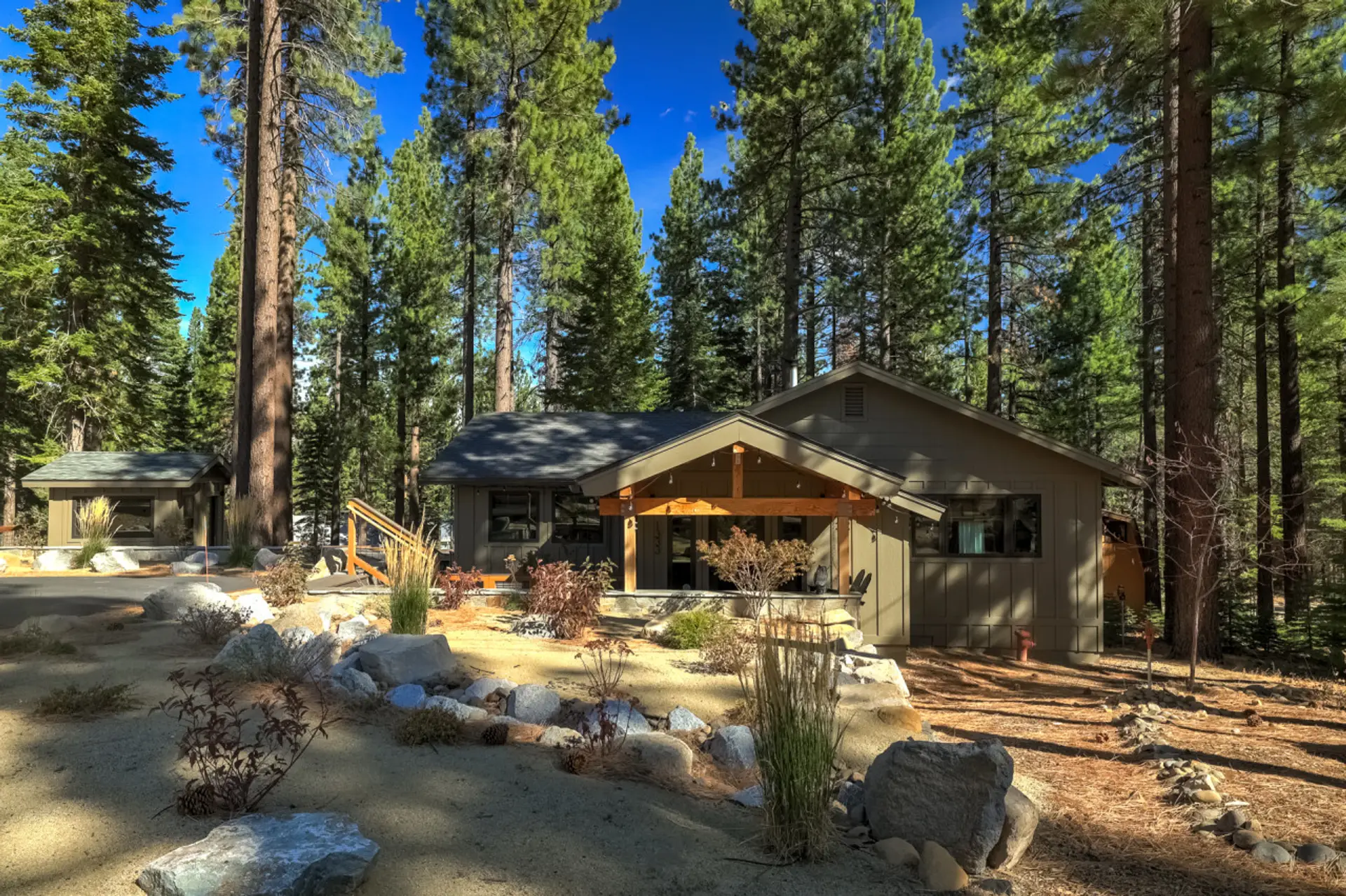 Front yard in Summer