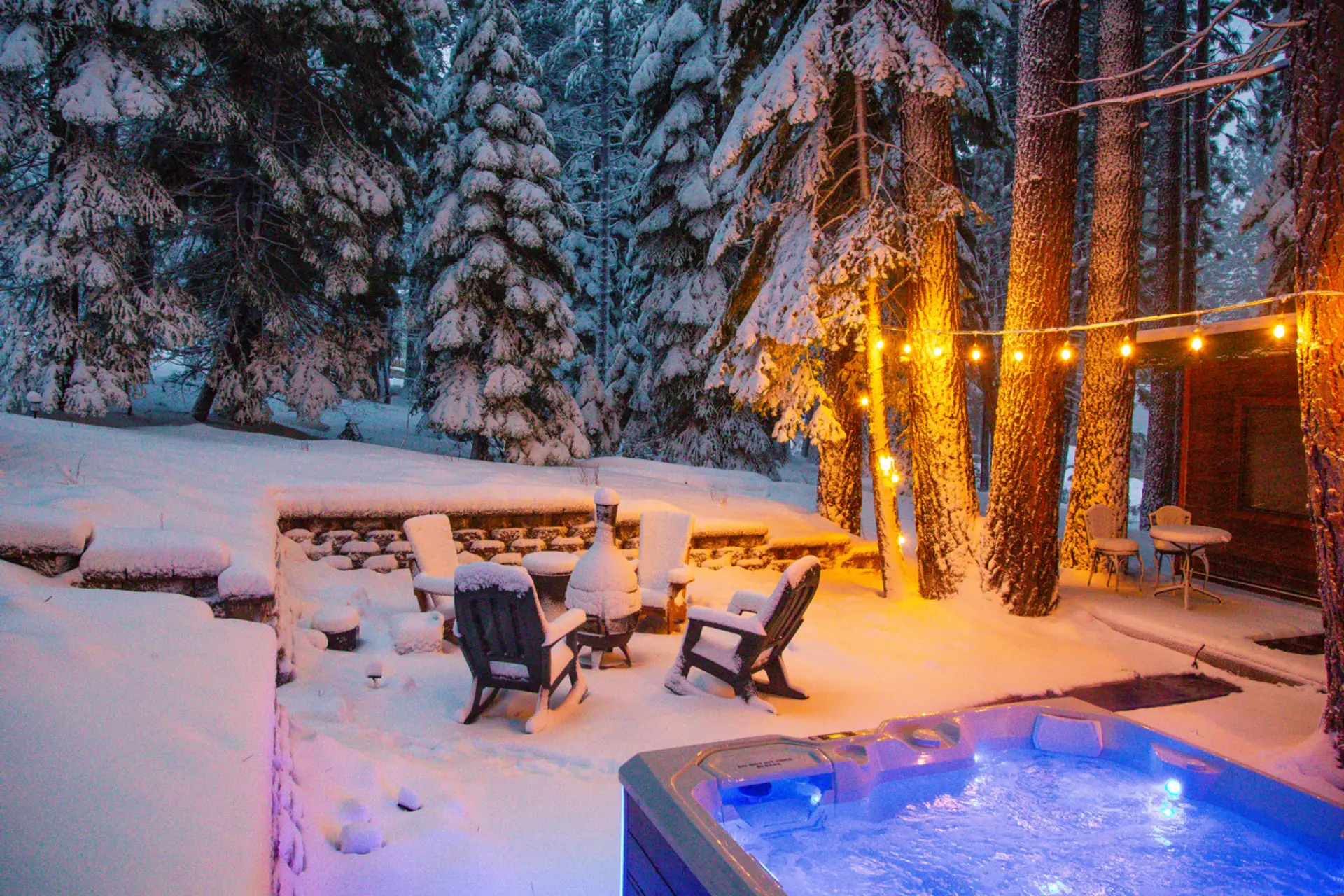 Backyard in Winter