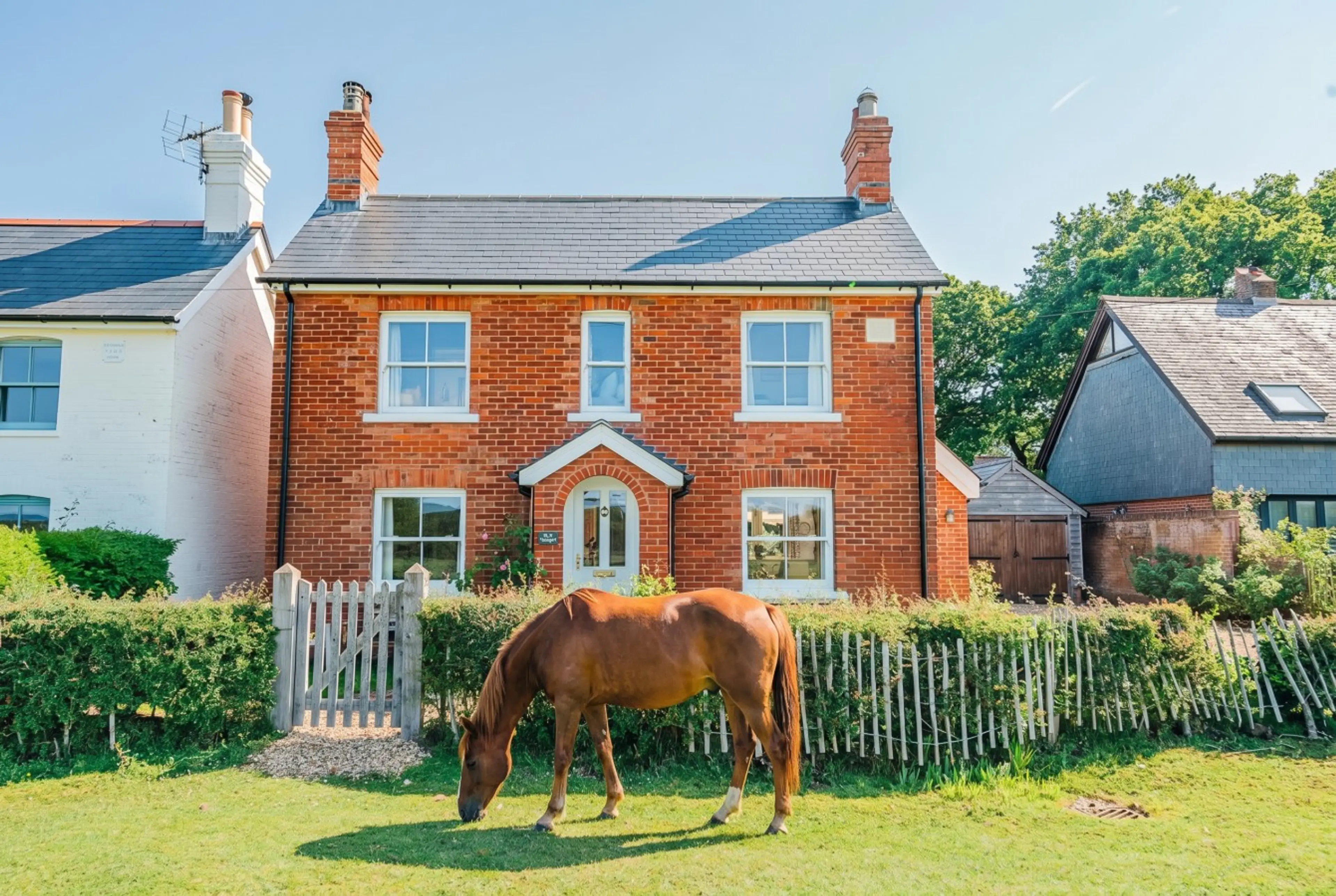 A free-roaming New Forest pony grazes right at your garden gate.
